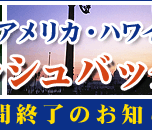 �H�̃L���b�V���o�b�N�L�����y�[��